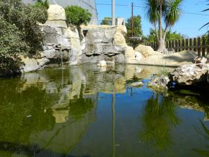 eL ESTANQUE EN EL JARDÍN